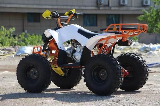 Παιδικό οικονομικό 110cc αυτόματο ATV με μπροστινό τύμπανο και πίσω φρένα δίσκου