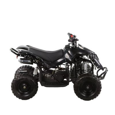 49cc Παιδιά ATV 4 τροχούς Παιδιά 4x4 Side by Side Μίνι ATV με μεταφορά αλυσίδας
