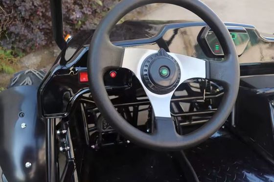Δύο θέσεις Ηλεκτρικό Go Cart με μπροστινό δίσκο πίσω σύστημα πέδησης δίσκου και 60V τάση