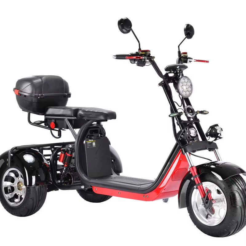 Citycoco 3 τροχών Ηλεκτρικό σκούτερ 3000w 2000 Watt Citycoco Δύο θέσεις Wide Wheel Road