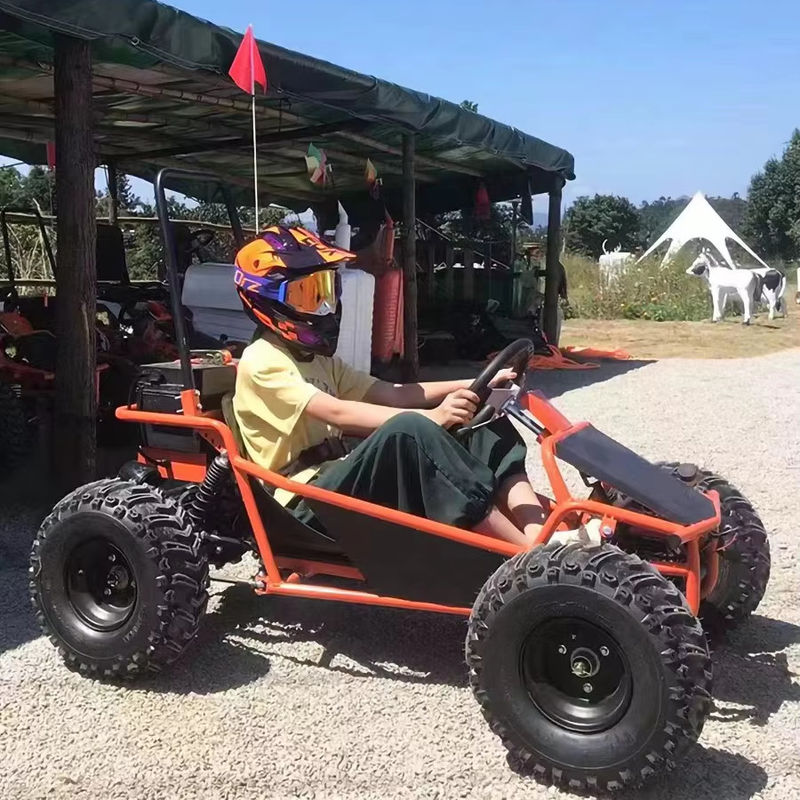 Διασκέδαση Πάρκο ενοικίασης Golf Buggy Cart με 1000W Brushless Motor και ΕΟΚ Πιστοποίηση