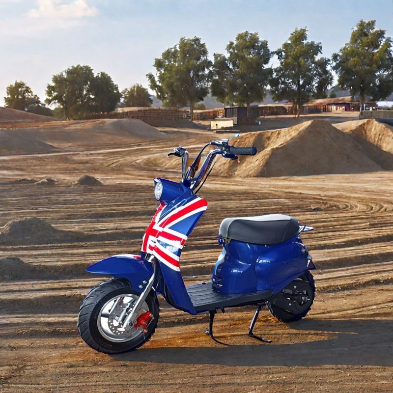 DISC Brake 49cc Gas Powered Mini Dirt Bike για παιδική εξωτερική διασκέδαση σε προσαρμοσμένα χρώματα