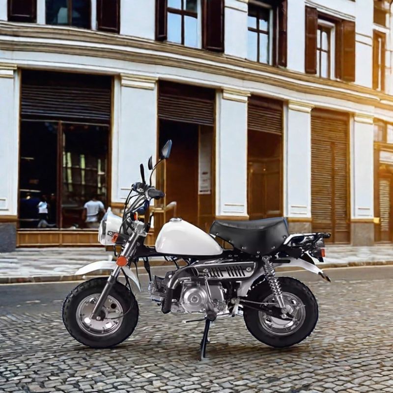 Off-Road Adventure 110cc Monkey Bike με πιστοποιητικό CE και προσαρμοσμένα χρώματα που υποστηρίζονται