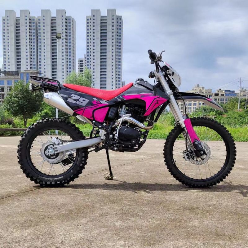 Προσαρμοσμένη υποστηριζόμενη 250cc βενζινοκίνητη μοτοσυκλέτα βρώμικο ποδήλατο για ενήλικες off-road μοτοκρός