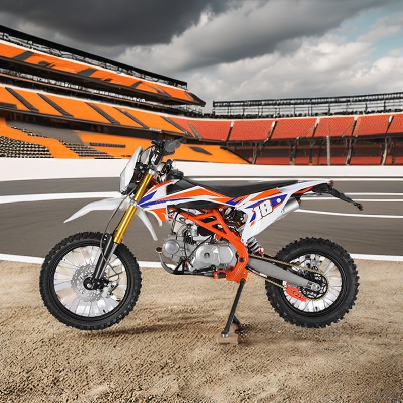 Ενήλικες Αεριοκίνητο 190cc 125cc Dirt Bike αγώνες off-road μοτοσυκλέτα Motocross 160cc 250cc