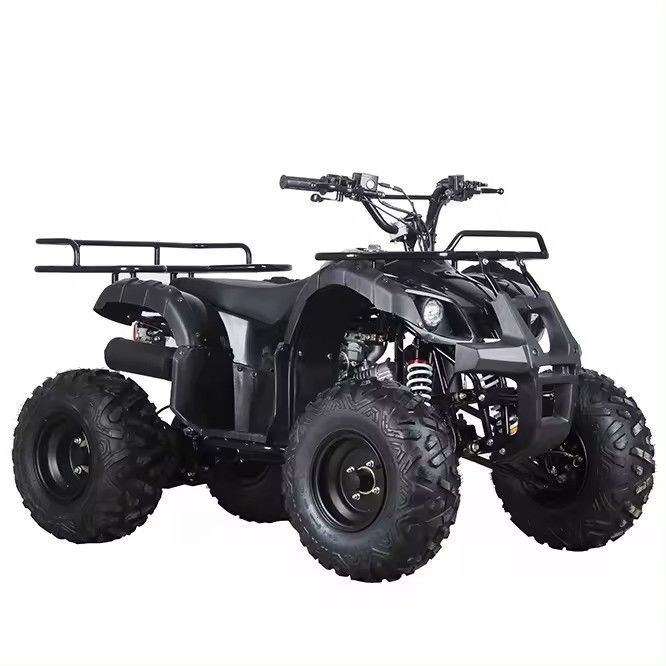 Αλυσιδωτή κίνηση 110cc/125cc 4χρονο All-Terrain τετρακίνητο Beach Buggy Βενζινοκίνητο Quadbike