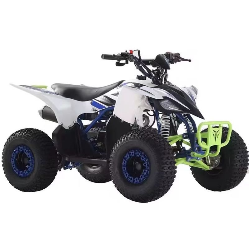 Cuatrimoto ATV αυτόματο 125cc Quad Bike Gas / Diesel με προσαρμοσμένα υποστηριζόμενα χρώματα
