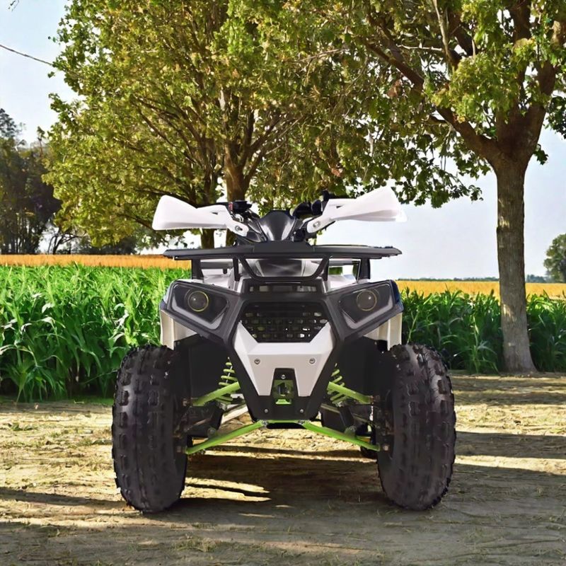 125cc Gas Powered Utility ATV Quad Bike με ελάχιστη απόσταση διαχωρισμού 100-150mm