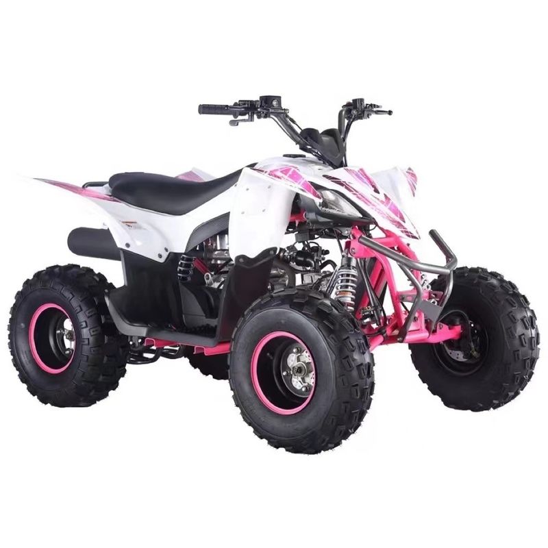 125cc Aotong Motor ATV Farm Quad Bike Αυτόματη μετάδοση Προσαρμοσμένα χρώματα Υποστηρίζεται