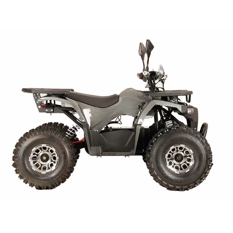 Προσαρμόσιμα χρώματα Ηλεκτρικό Quad 1000w48V20Ah με σύστημα φρένων με μπροστινό δίσκο