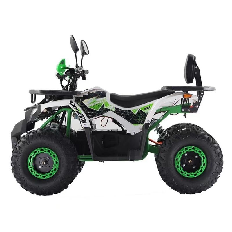 2WD Type Aotong Motor 1000W Ηλεκτρικό Side by Side ATV με μπαταρία 60V 20AH
