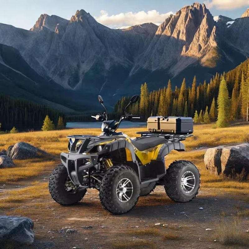 DISC Brake Electric 3000w Dune Buggy για ενήλικες 1500w*2 UTV ATV 4x4 Οχήμα εκτός δρόμου