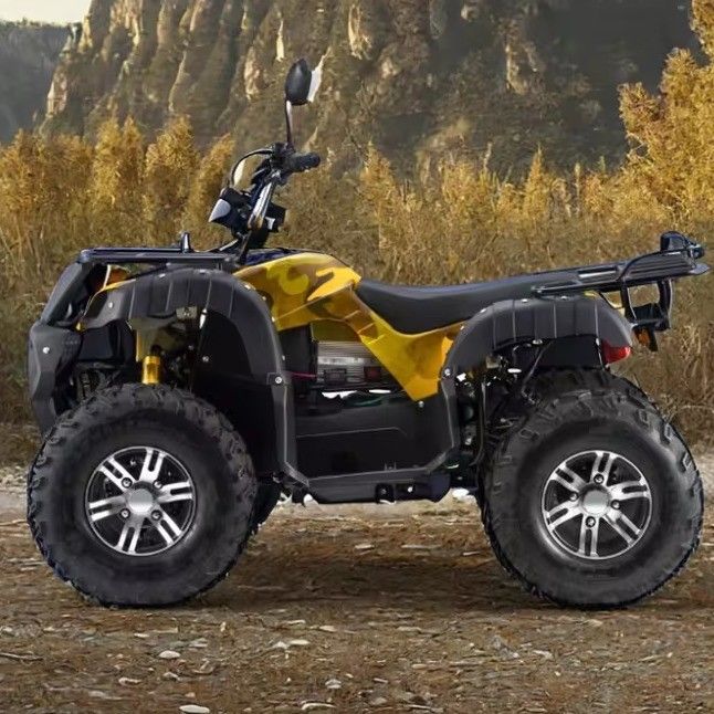 Ενήλικες 3000W Ηλεκτρικό ATV Quad Gas Powered 2WD 4WD με μέγιστη ταχύτητα 50-75Km/h