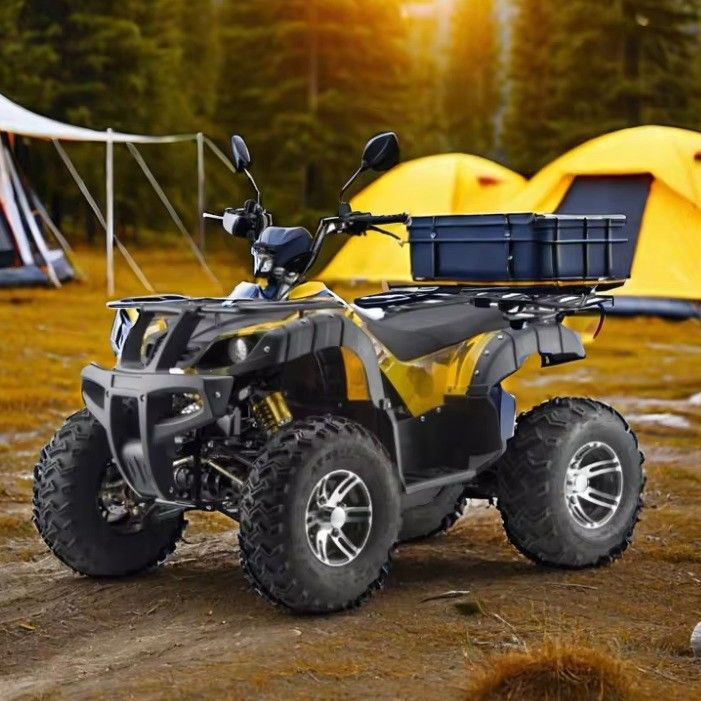 3000W 2wd/4wd ATV UTV Οδική τετρακίνητη εκτός δρόμου μοτοσικλέτα με εναλλακτικό τύπο οδήγησης