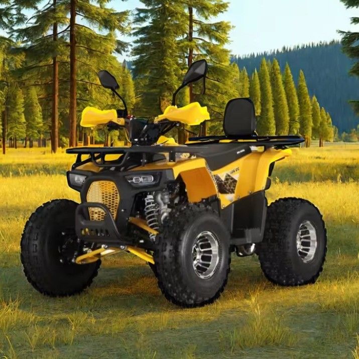 125cc Farm Quads ATV για ενήλικες Ενίσχυρος κινητήρας αερίου / ντίζελ και αλυσίδας