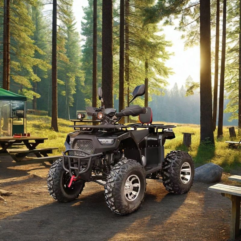 2WD Μέγιστη ταχύτητα 50-75Km/h 125cc 150cc 200cc ATVs UTVs Off Road Cuatrimoto