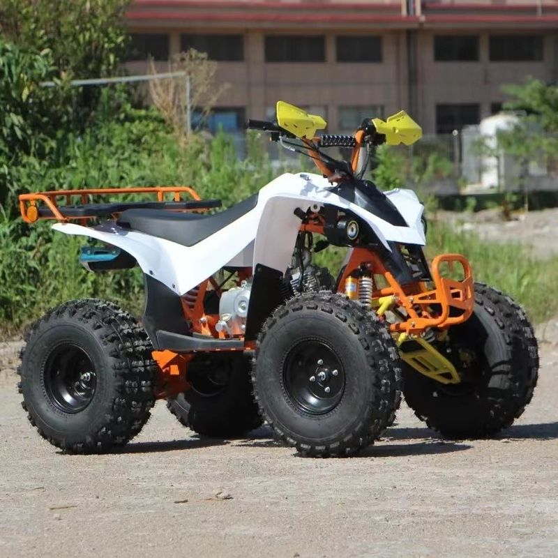 150cc 200CC 250CC Αυτοματοποιημένη μετάδοση Τέσσερις τροχούς Off-Road Quad Bike ATV για βουνό