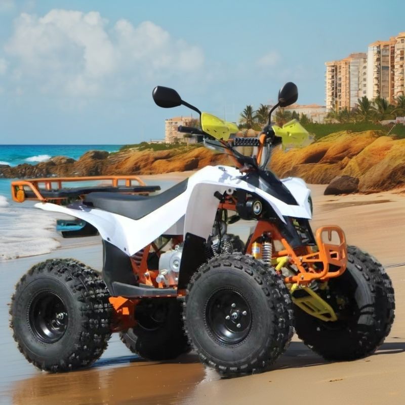 125/150cc Τέσσερις τροχούς utilitary ATV Μπροστά τύμπανο Πίσω δίσκος σύστημα φρένων για τις ανάγκες της γεωργίας