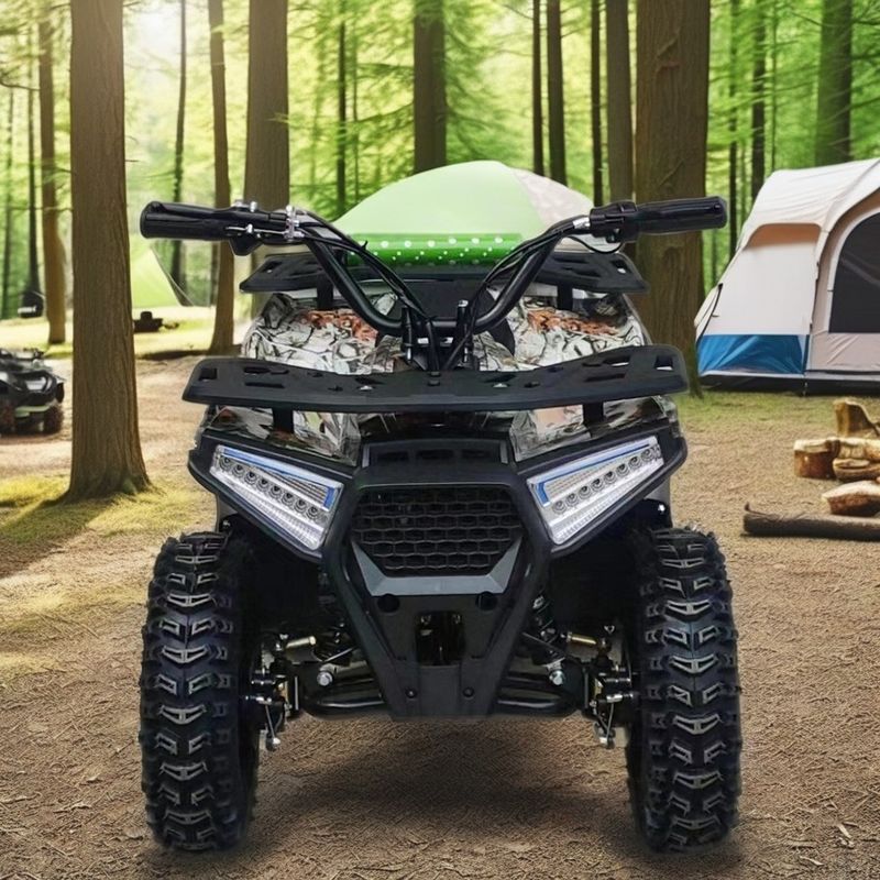 Αεριοκίνητο οχήμα 2x4 ATV με κινητήρα 110cc-150cc και μέγιστη ταχύτητα ≤50Km/h