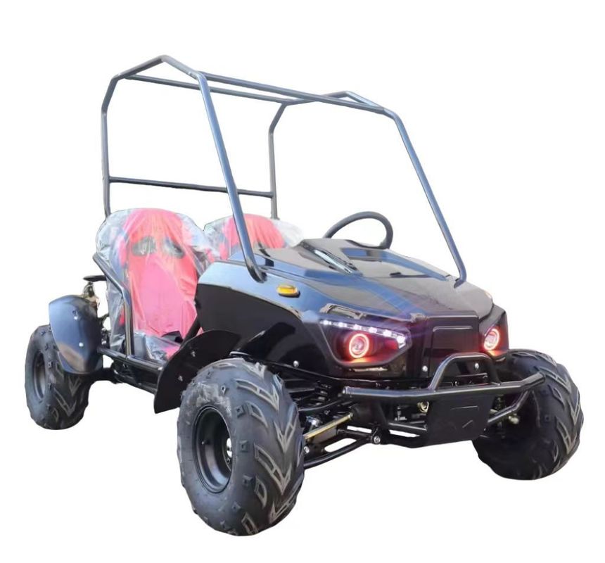 Δύο θέσεις Ηλεκτρικό Go Cart με μπροστινό δίσκο πίσω σύστημα πέδησης δίσκου και 60V τάση